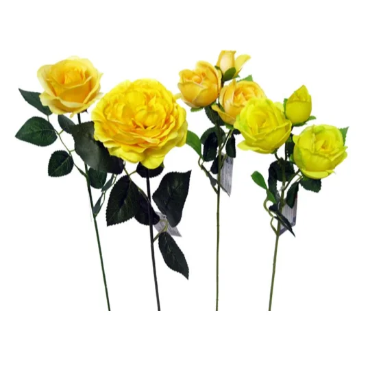 - Hamster silent running wheel to prevent chewingRose Flower Assortment - Basic Yellow - Hamster silent running wheel to prevent chewingRose Flower Assortment - Basic Yellow