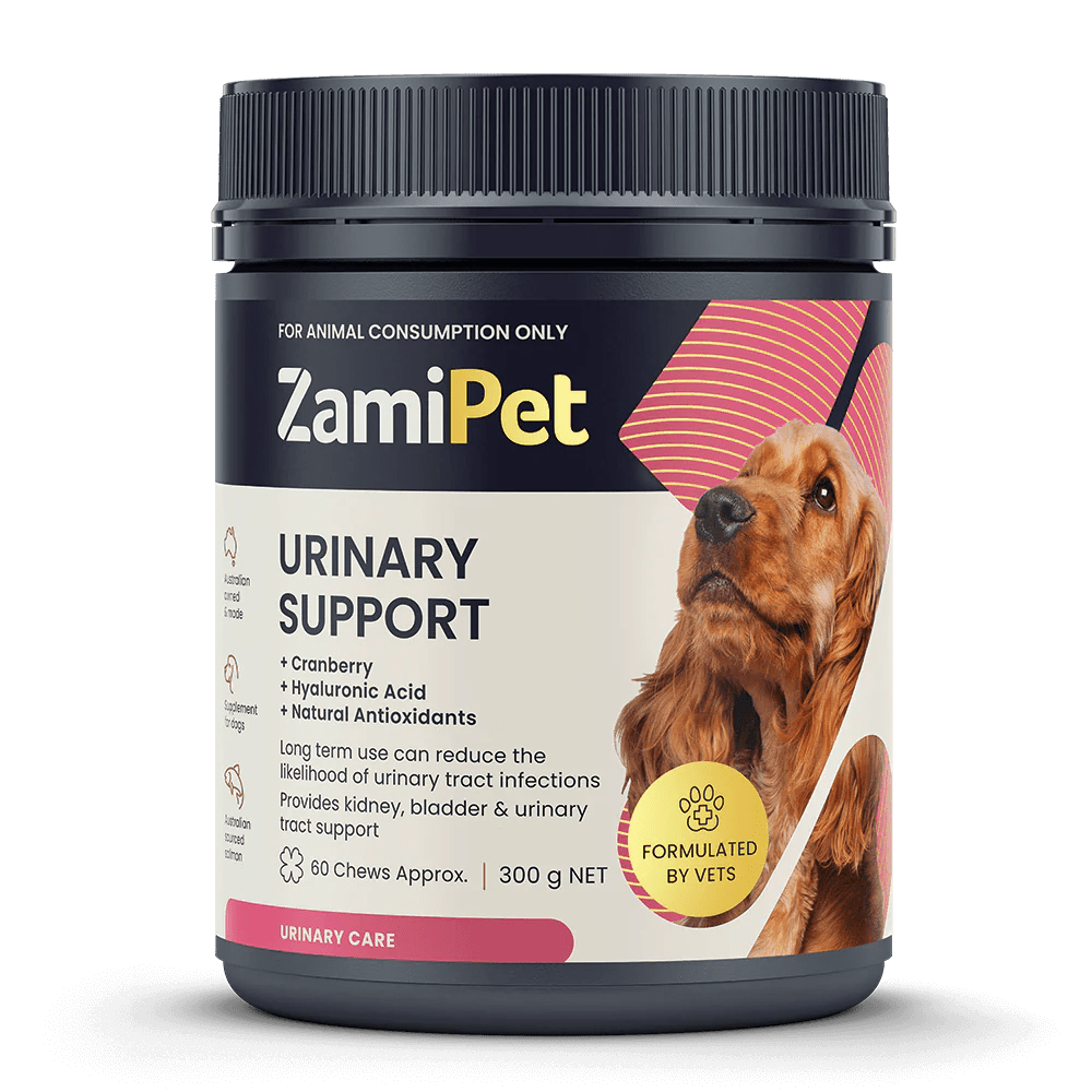 - Postoperative pet anti-licking Elizabethan collarZamiPet – Urinary Support