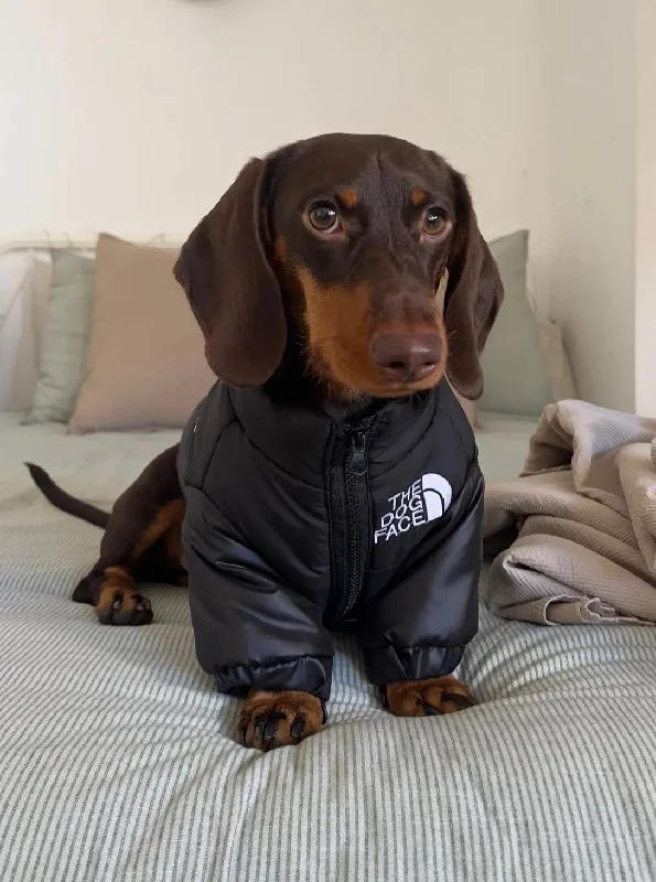---The Dog Face Jacket For Dachshunds