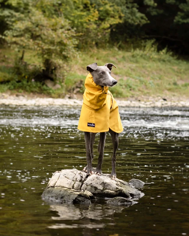 - Winter warm clothes for short-haired dogsTHE ROXY Lightweight, Water Resistant, Whippet Raincoat (Lights) - Winter warm clothes for short-haired dogsTHE ROXY Lightweight, Water Resistant, Whippet Raincoat (Lights)