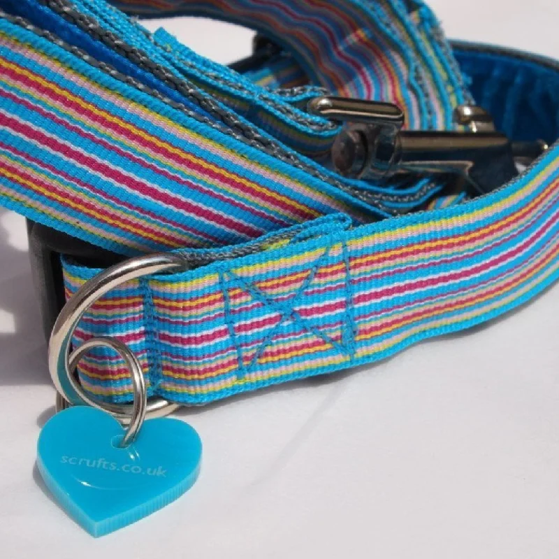  -Non-contact cat thermometerIce Pop Blue Stripe Dog Collar and Lead Set