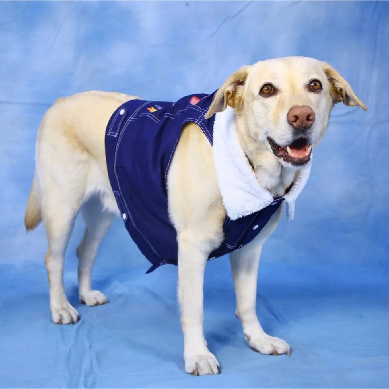 ---Dogobow Denim Jacket for Dogs and Cats (Navy Blue) (Get a Bow Free)
